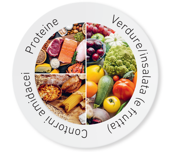 Il modello del piatto